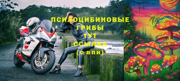 ГАЛЛЮЦИНОГЕННЫЕ ГРИБЫ Пролетарск