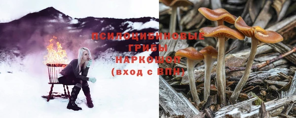 герыч Приозерск