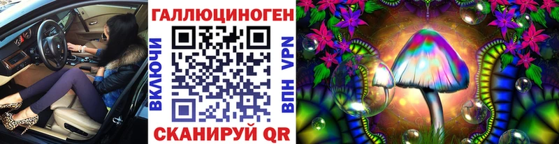 магазин  наркотиков  Черногорск  omg как войти  Галлюциногенные грибы MAGIC MUSHROOMS 