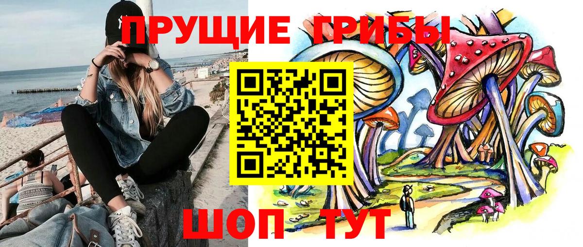 Галлюциногенные грибы Cubensis Черногорск