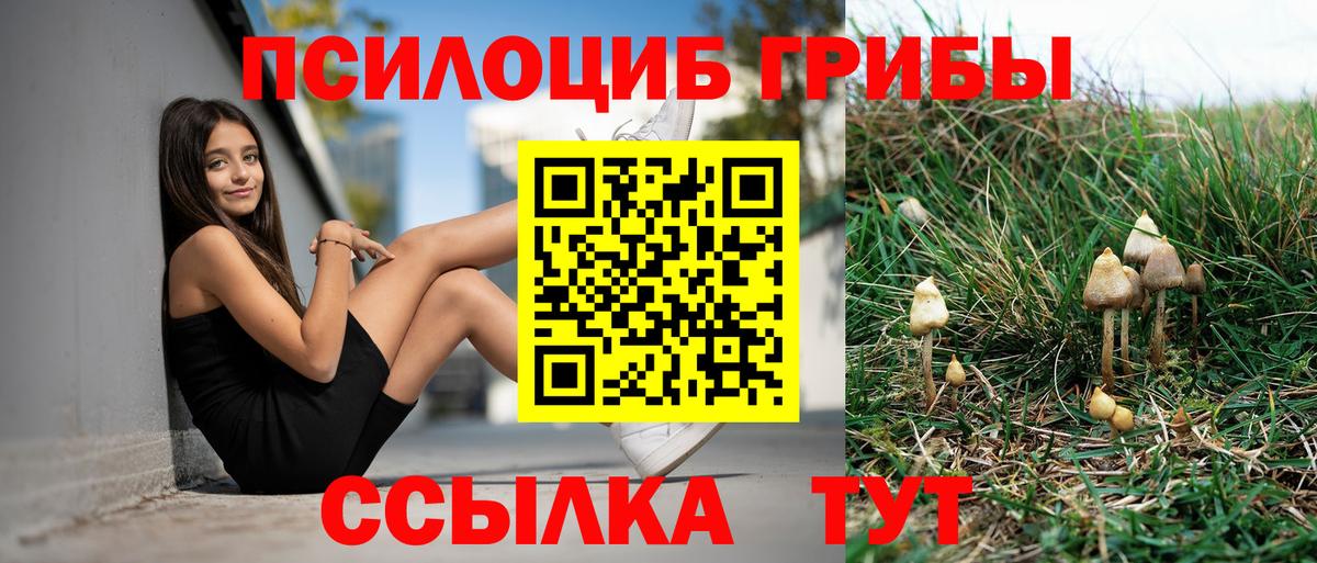 Галлюциногенные грибы ЛСД  Галлюциногенные грибы мухоморы  Вход с VPN  Черногорск 