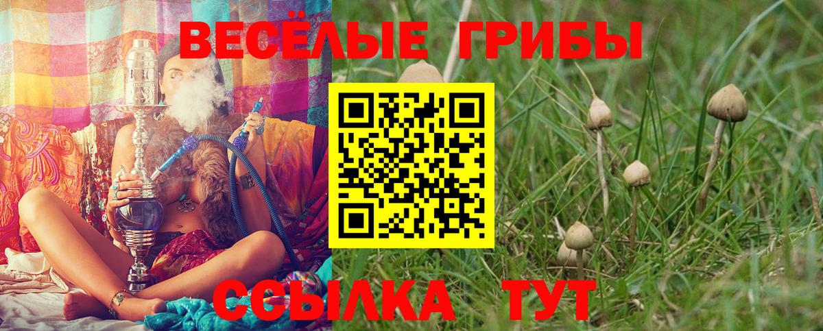 Мефедрон кристаллы  ГАШИШ  Кокаин  Вход с VPN  Черногорск  Каннабис  МЕТАДОН 