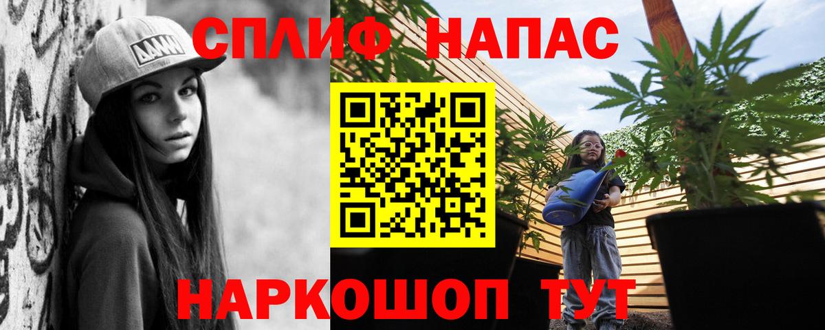 Бошки Шишки индика Черногорск