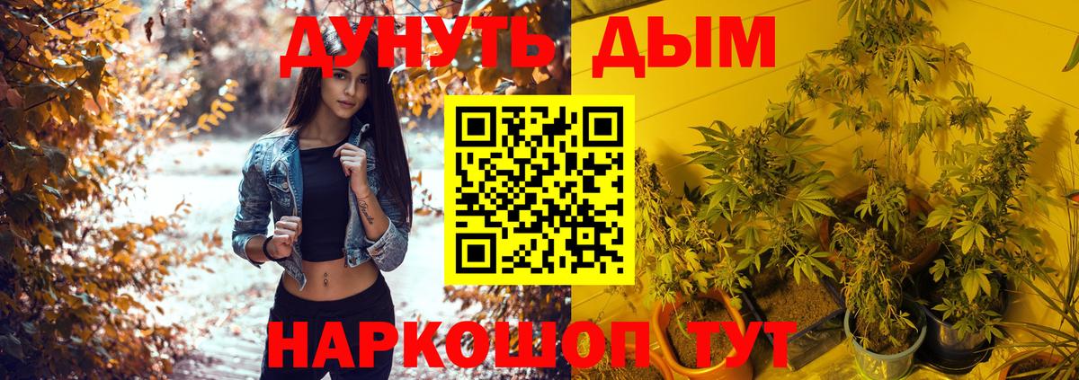 МАРИХУАНА план  Бошки Шишки THC 21%  Каннабис VHQ  Вход с VPN  МАРИХУАНА Bruce Banner  Черногорск 